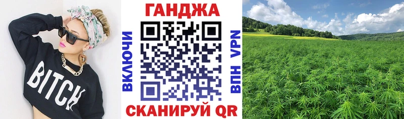 Купить закладки  Сураж  Шишки марихуана конопля 